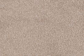 "Whole Wheat" IN STOCK!