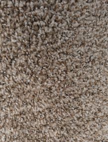 "Black Walnut" IN STOCK!