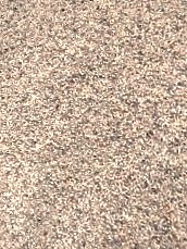 "Neutra" IN STOCK!