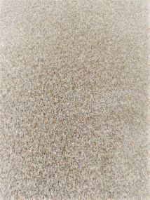 "Dune" IN STOCK!