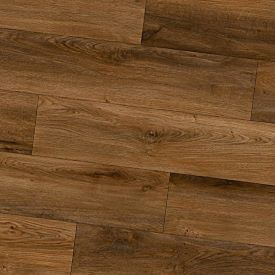 "Palomino" IN STOCK!