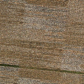 Carpet Tile "Translate" 2'x2' 