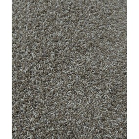 "Waverly" Ranier IN STOCK!
