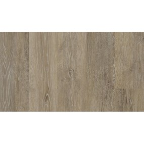 "Olympian, Victory Oak"